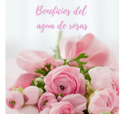 Ya nuestras abuelas utilizaban el agua de rosas como producto de belleza... natural y con múltiples beneficios.